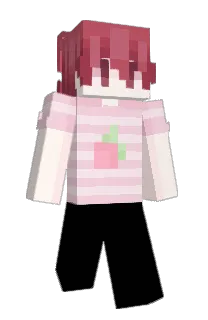 Front of cyw's skin