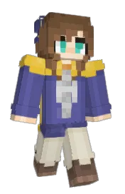 Skin preview