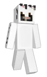 Slim Minecraft skin