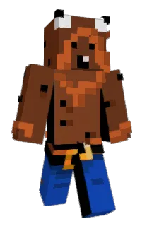 Front of mwff's skin