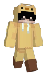 Front of Flip223's skin