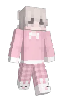 Front of Cinamons's skin