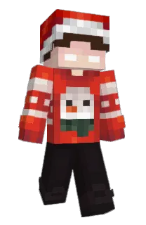 Front of Simssoon's skin