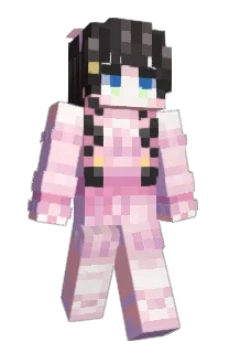 Front of Sharksucker's skin
