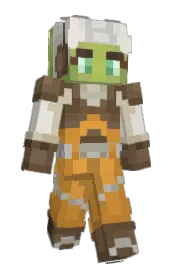 Skin preview