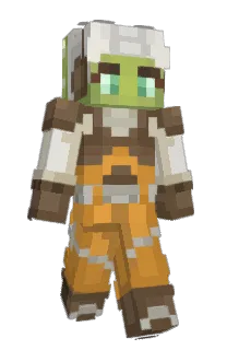 Front of Pulsars's skin