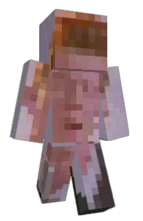 Rells12's Minecraft skin