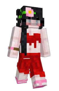 Front of dipxi's skin