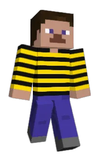 Front of Toolater's skin