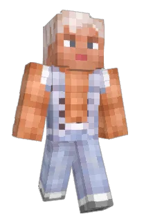 skydelas's Minecraft skin