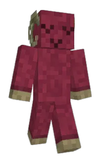 Front of Minecraft skin