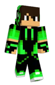 Skin preview