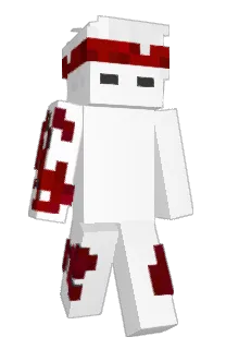Front of Minecraft skin