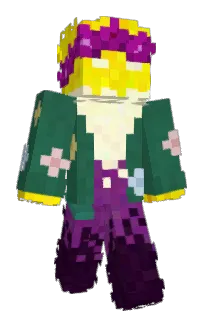 Front of wildflowery's skin