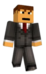 Minecraft skin — Classic model
