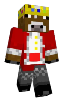 Front of Minecraft skin