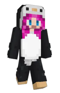 Front of Skyco11's skin