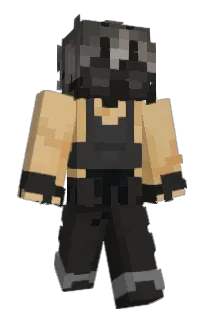 Front of shcd's skin