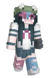 Skin preview