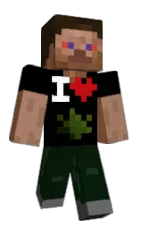 rwhz's Minecraft skin wearing the Home cape