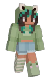 Skin preview