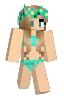 Front of Dl1b's skin