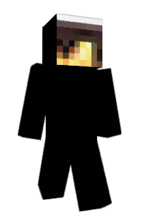 Front of AutoSkin's skin