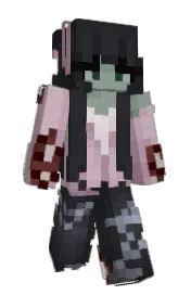 Skin preview