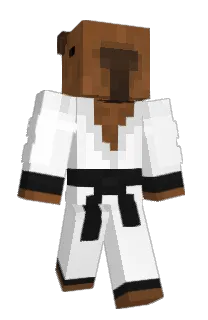 Front of igna_702's skin