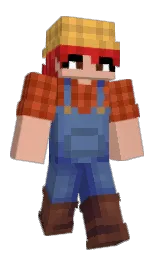 Minecraft skin — Classic model