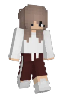 7319 Minecraft avatar full body