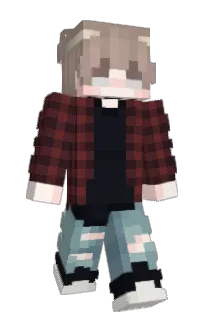 Front of Stxlpice's skin