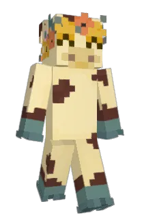Front of bedwra's skin