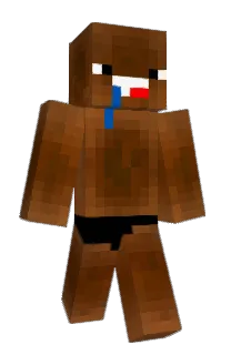 Front of LUPERR10's skin