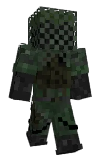Front of Minecraft skin