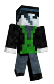 Skin preview