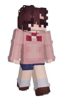 Front of eduzatie's skin