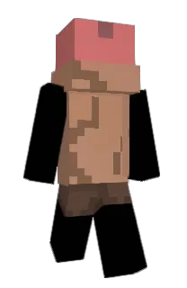 Soysuace's Minecraft skin