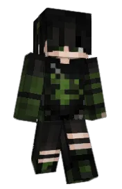 Skin preview