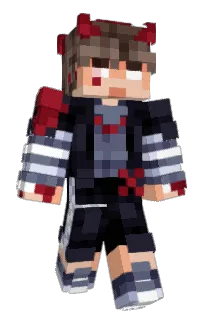 Front of Pokik's skin