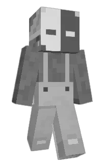 Front of DamiPhantom3's skin