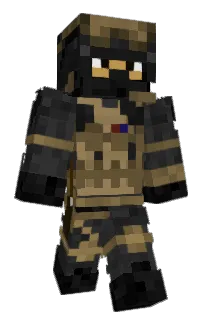 Front of TWT66's skin