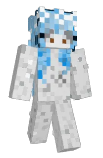 napxdd's Minecraft skin