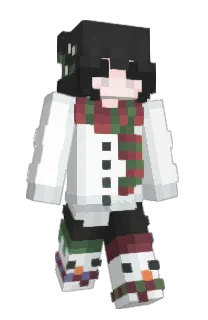 Front of oEin's skin