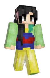 Skin preview