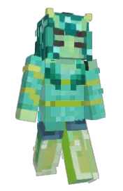 Skin preview