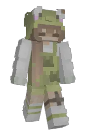 Skin preview