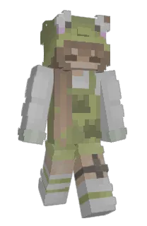 Front of N0raa's skin