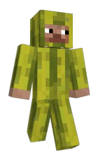 Front of napah's skin