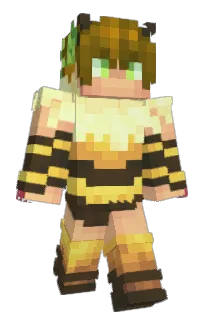 Front of Lolotrack's skin